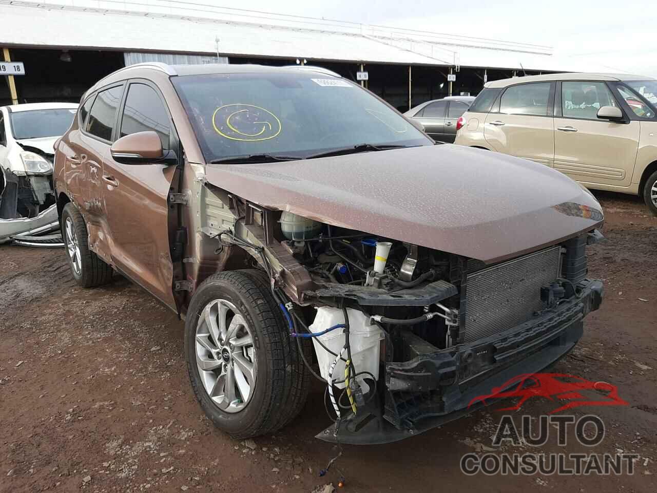 HYUNDAI TUCSON 2017 - KM8J33A47HU420224