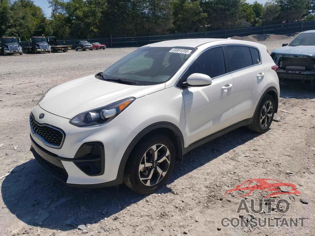 KIA SPORTAGE 2022 - KNDPM3AC4N7980229