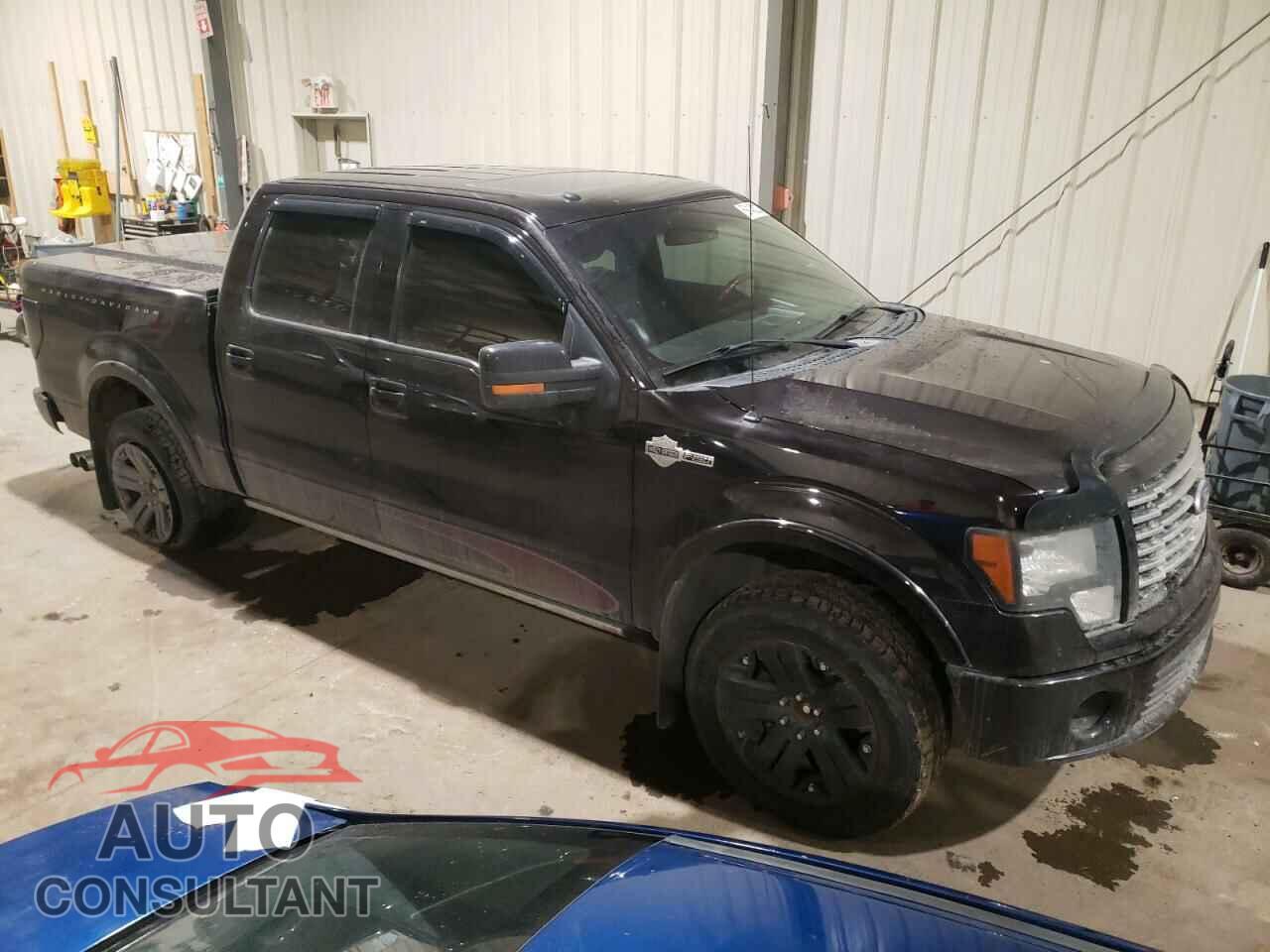 FORD F-150 2010 - 1FTFW1EV7AFC19300
