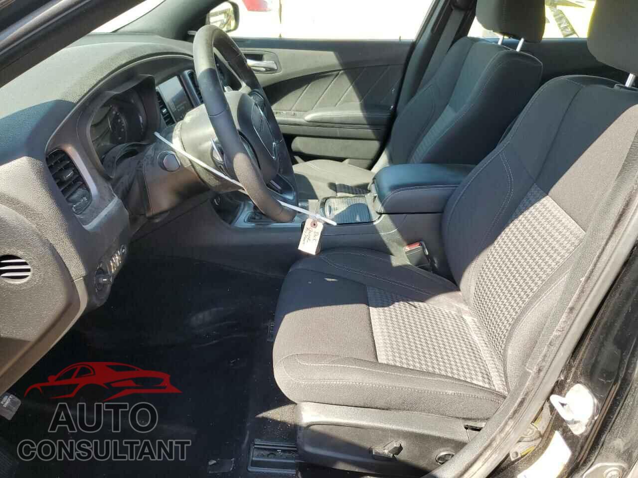 DODGE CHARGER 2019 - 2C3CDXJG7KH555357