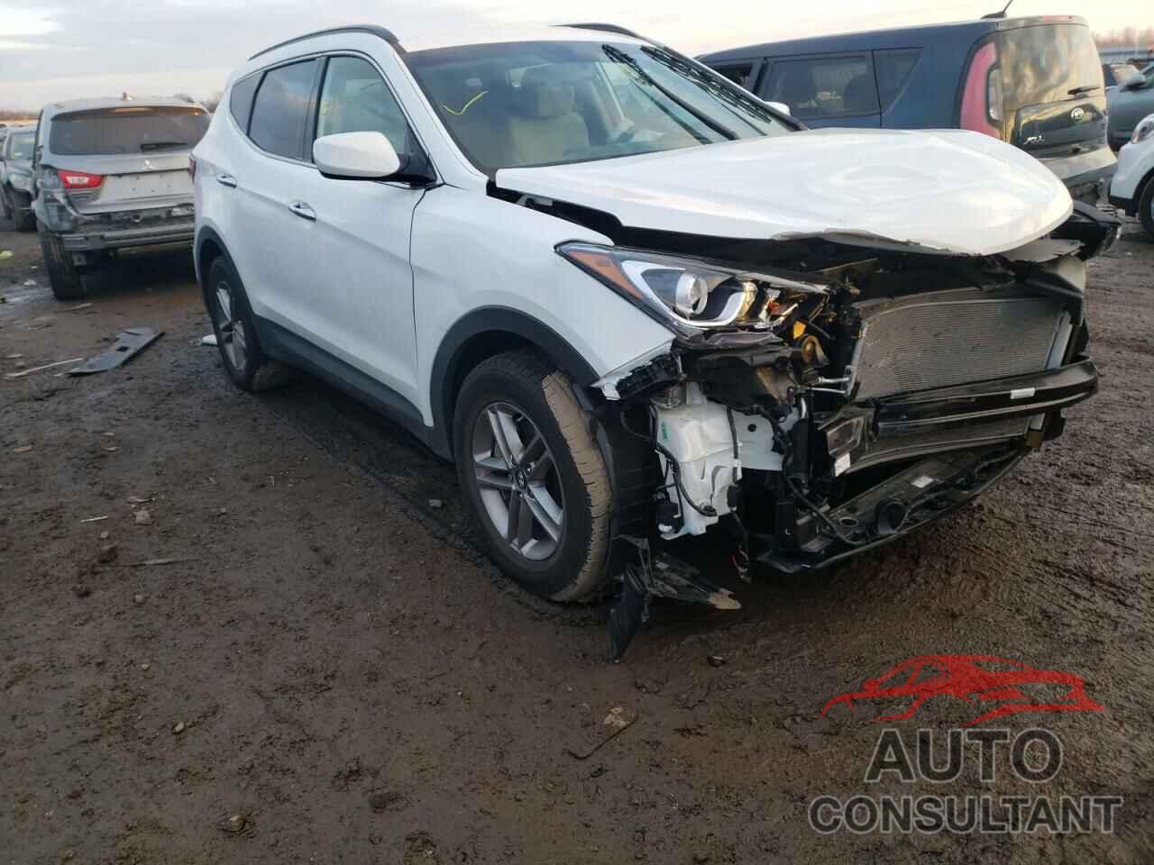 HYUNDAI SANTA FE 2017 - 5NMZUDLB4HH036530