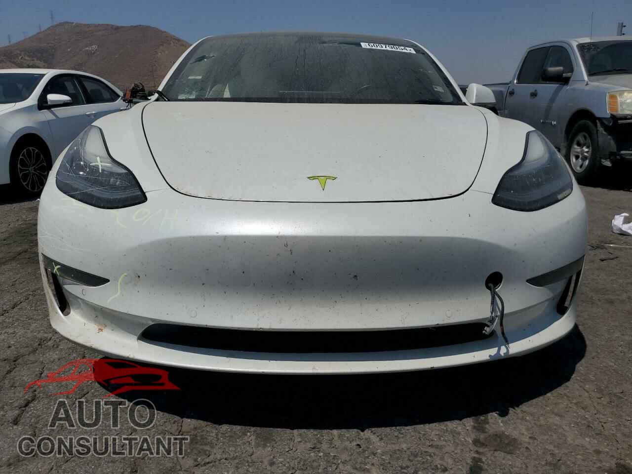 TESLA MODEL 3 2019 - 5YJ3E1EB3KF513536