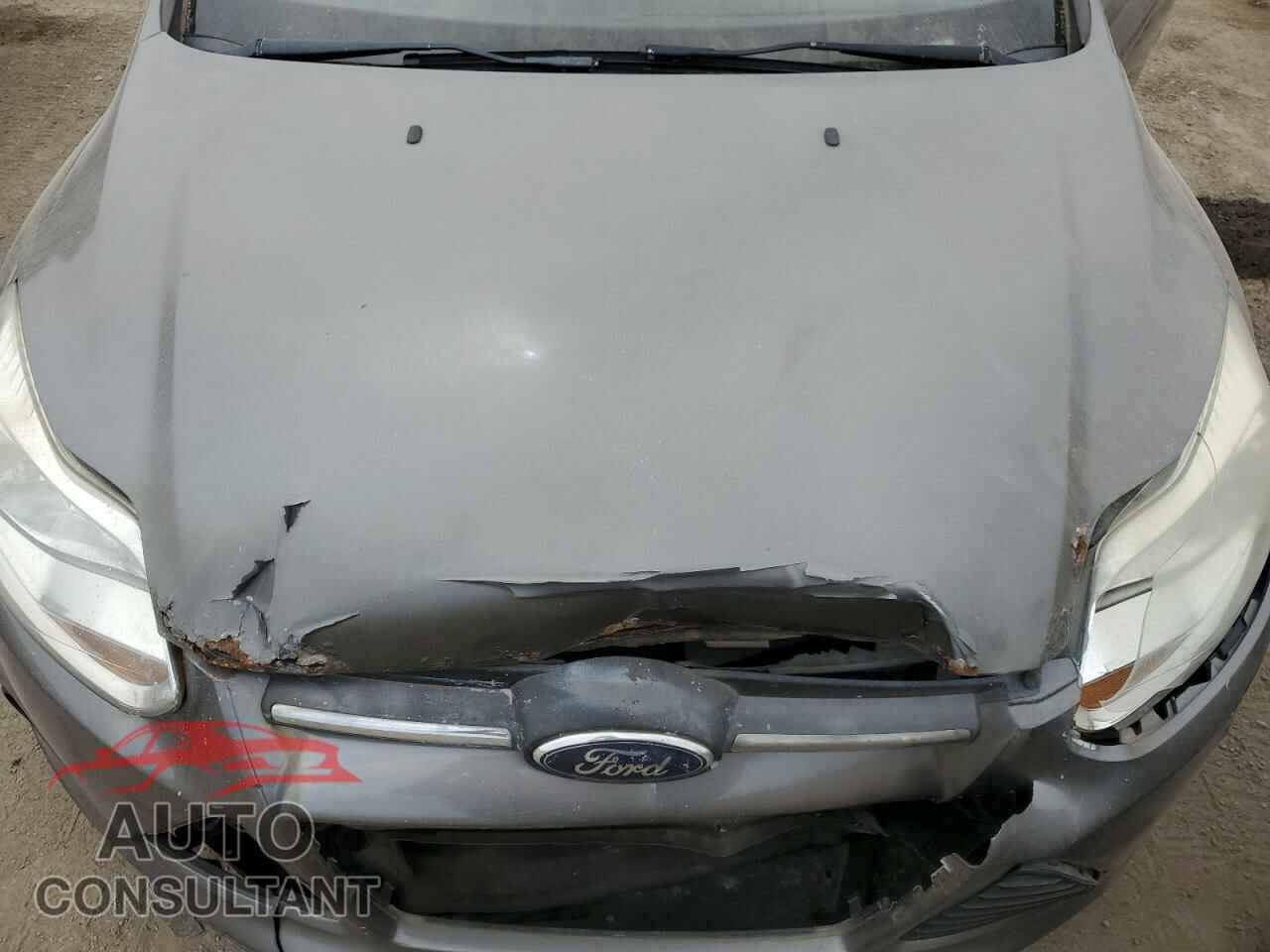 FORD FOCUS 2013 - 1FADP3F24DL100281