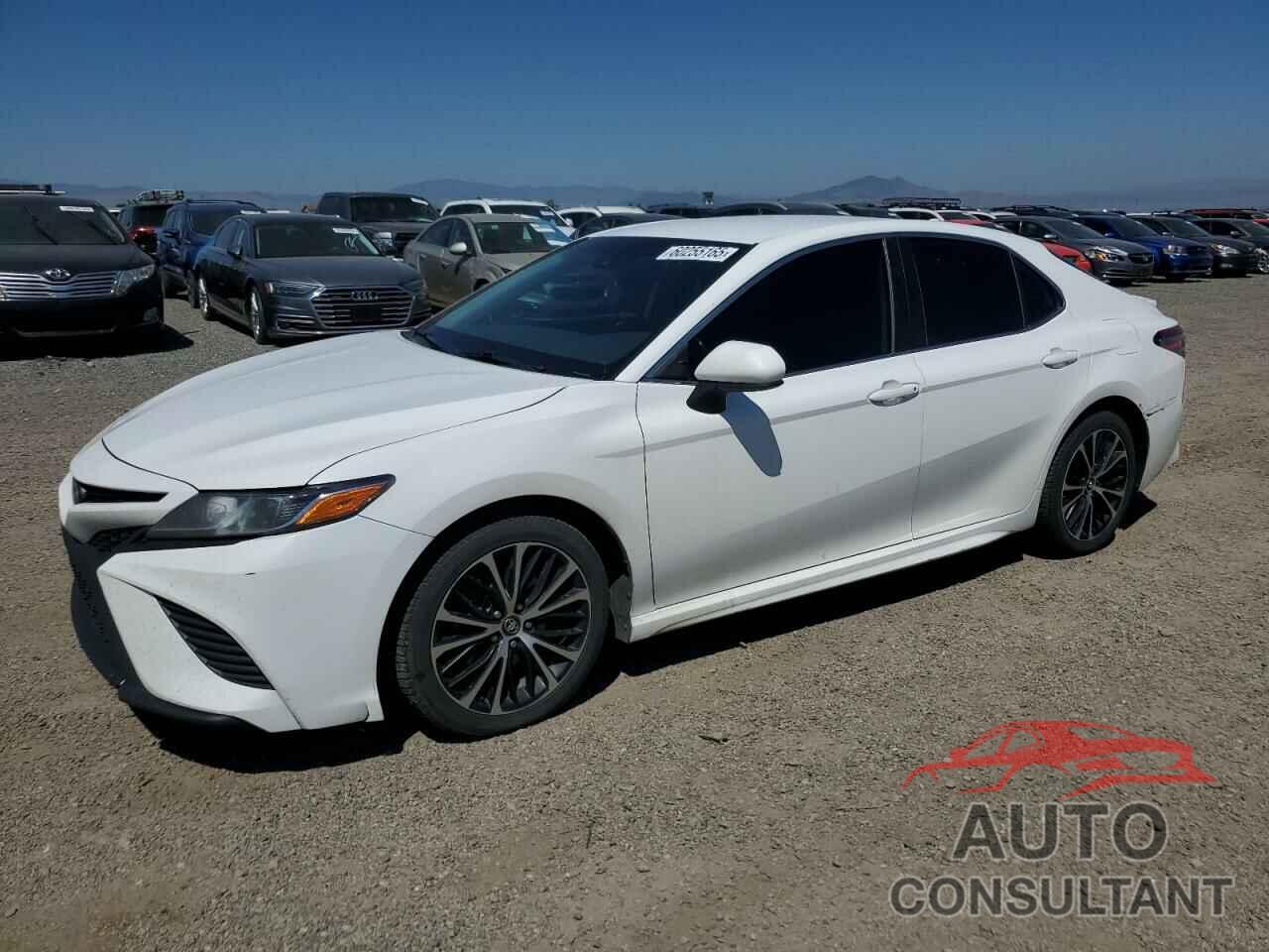 TOYOTA CAMRY 2019 - 4T1B11HK9KU169457