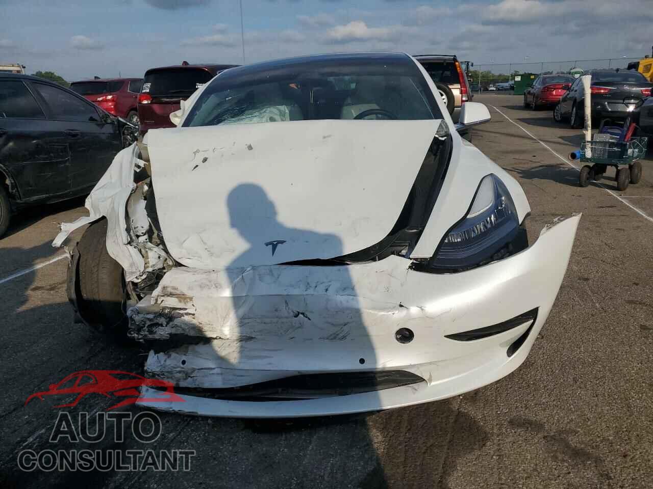 TESLA MODEL 3 2019 - 5YJ3E1EB5KF498523