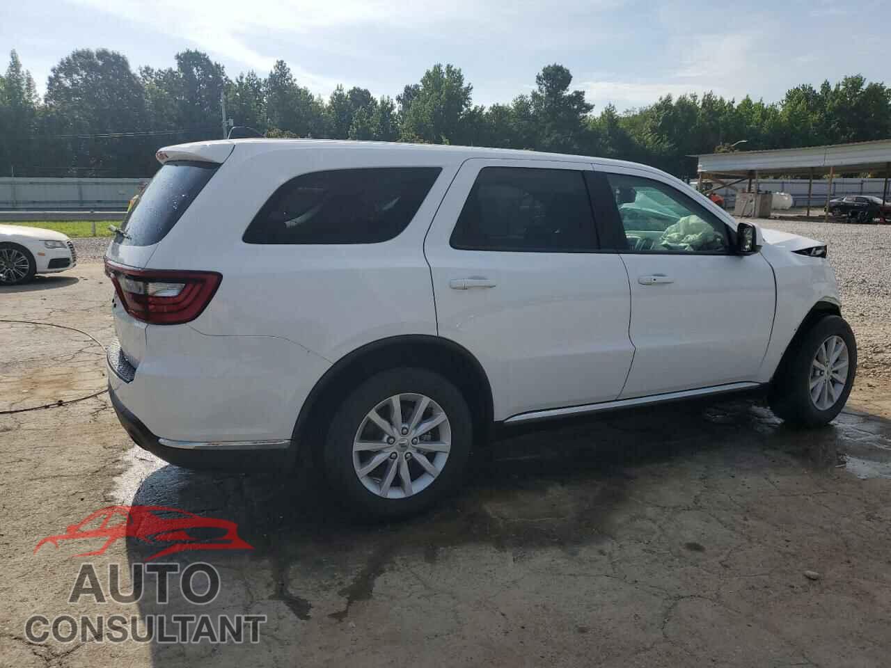 DODGE DURANGO 2019 - 1C4RDHAG5KC716416