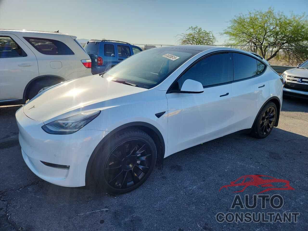 TESLA MODEL Y 2021 - 5YJYGAEE5MF194475