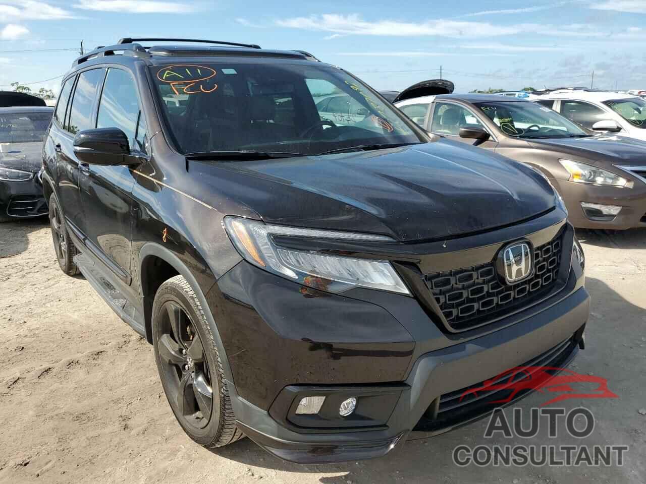 HONDA PASSPORT 2019 - 5FNYF8H06KB017751