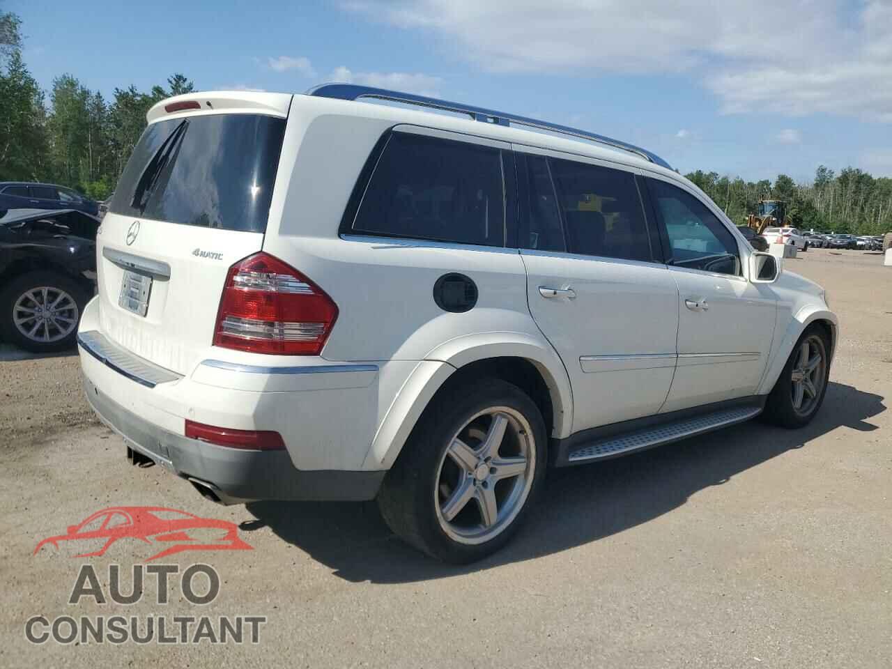 MERCEDES-BENZ GL-CLASS 2009 - 4JGBF86E49A528023