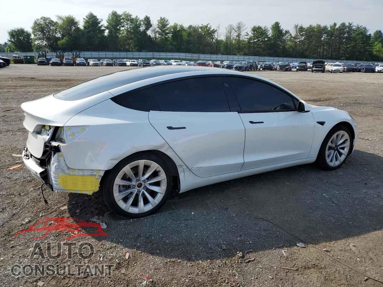 TESLA MODEL 3 2021 - 5YJ3E1EA4MF098592