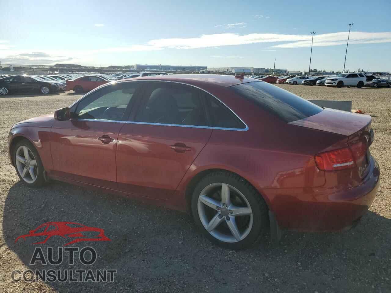 AUDI A4 2010 - WAUFFCFL8AN005282
