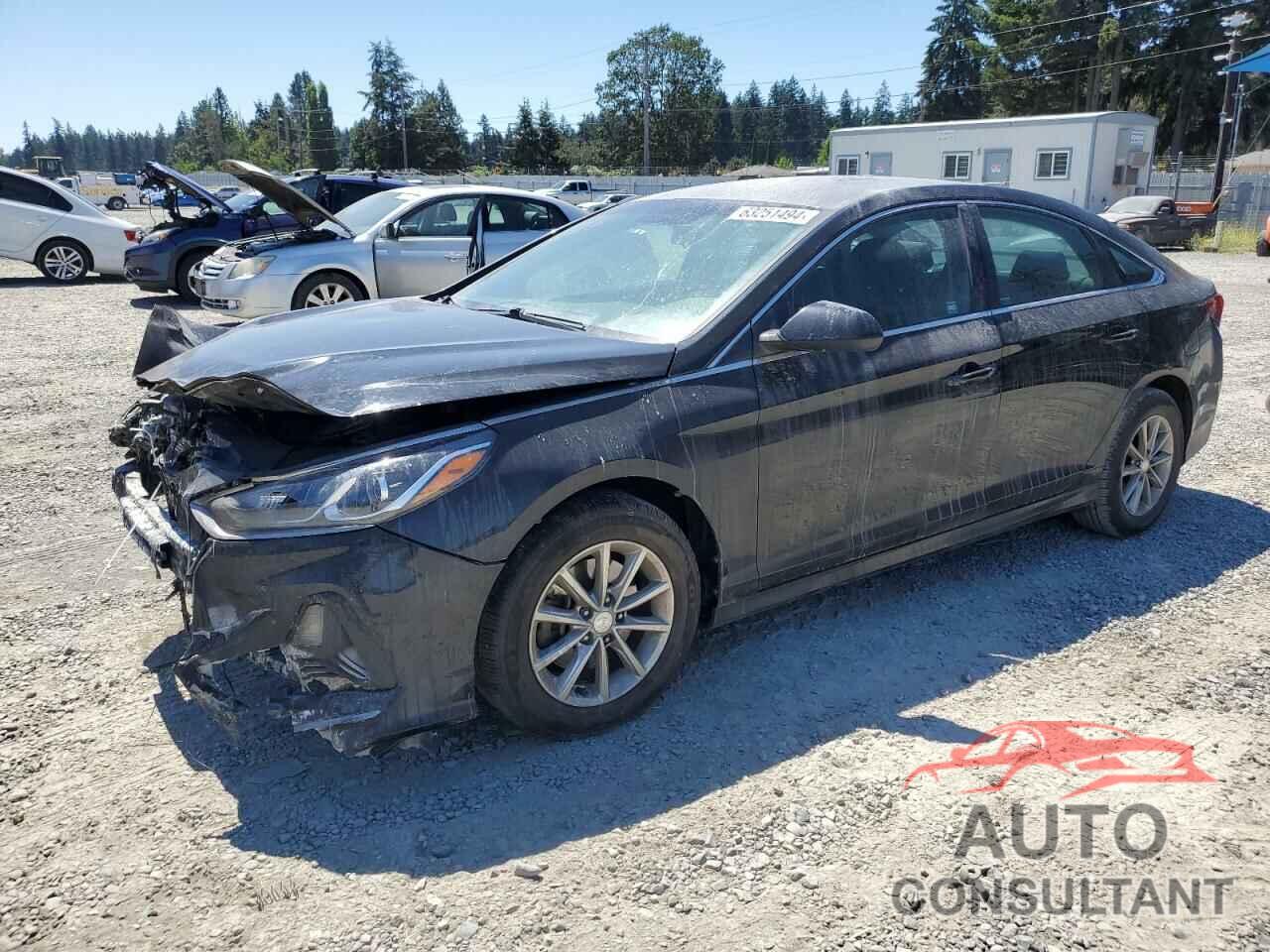 HYUNDAI SONATA 2019 - 5NPE24AF8KH757602