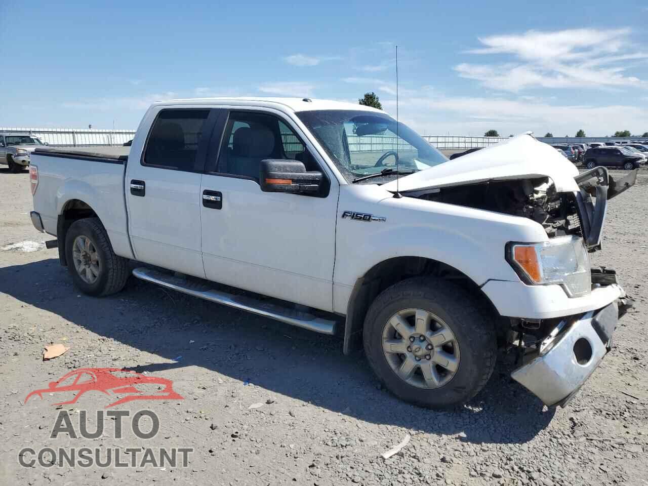 FORD F-150 2013 - 1FTFW1EF5DFD58984