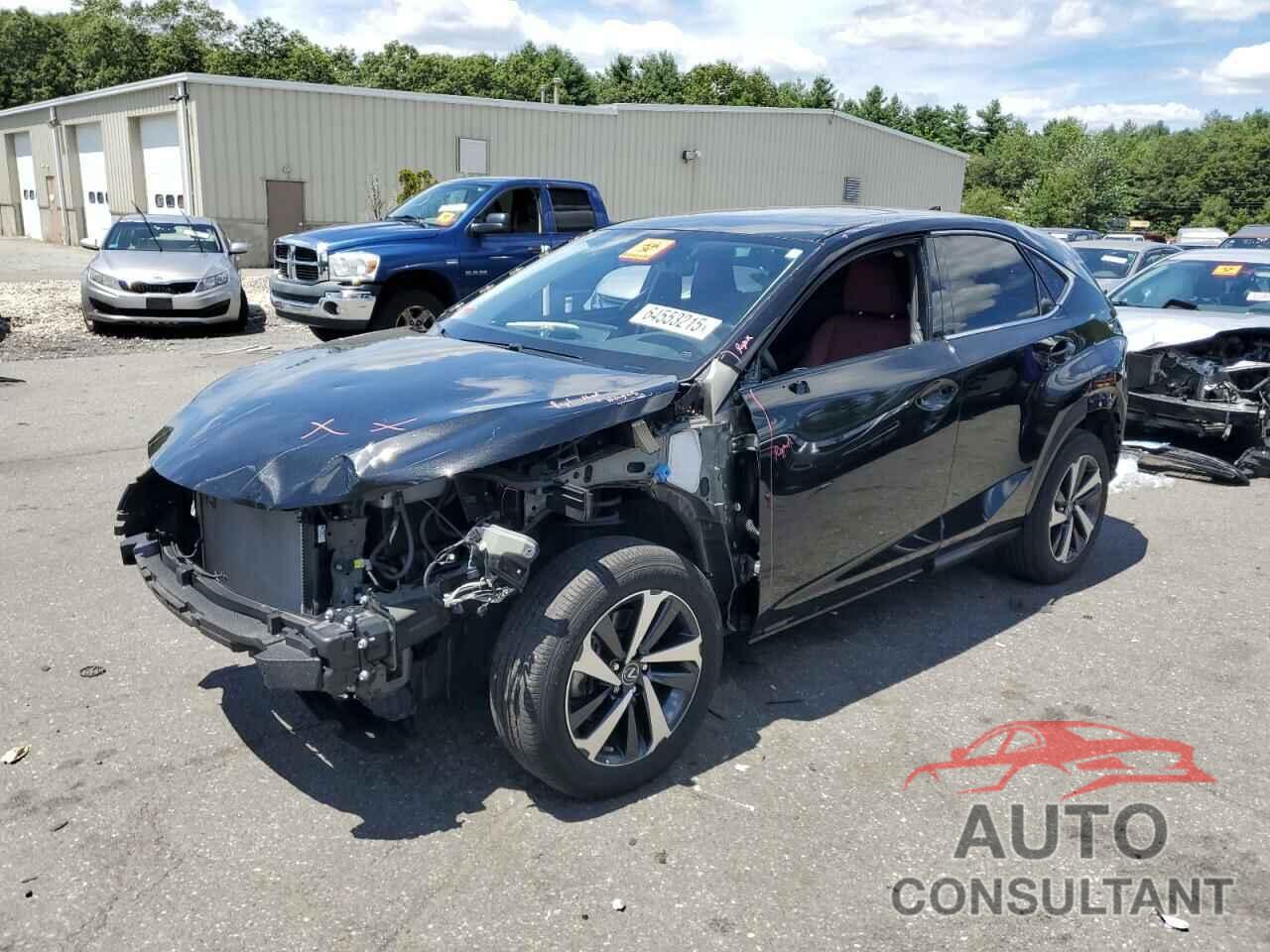 LEXUS NX 2020 - JTJGARDZ0L5004482