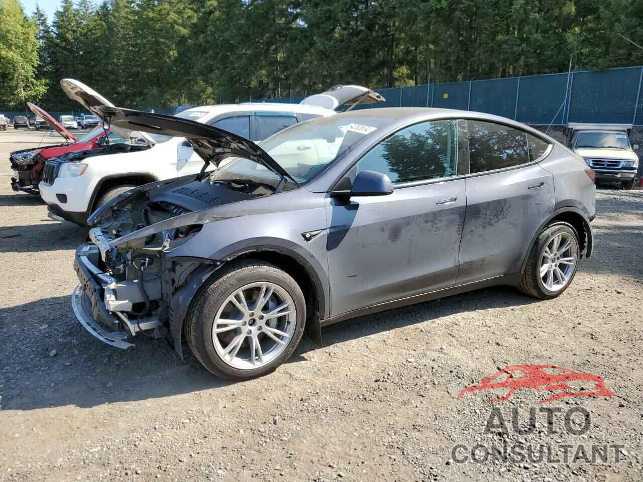 TESLA MODEL Y 2023 - 7SAYGDEE0PF966616