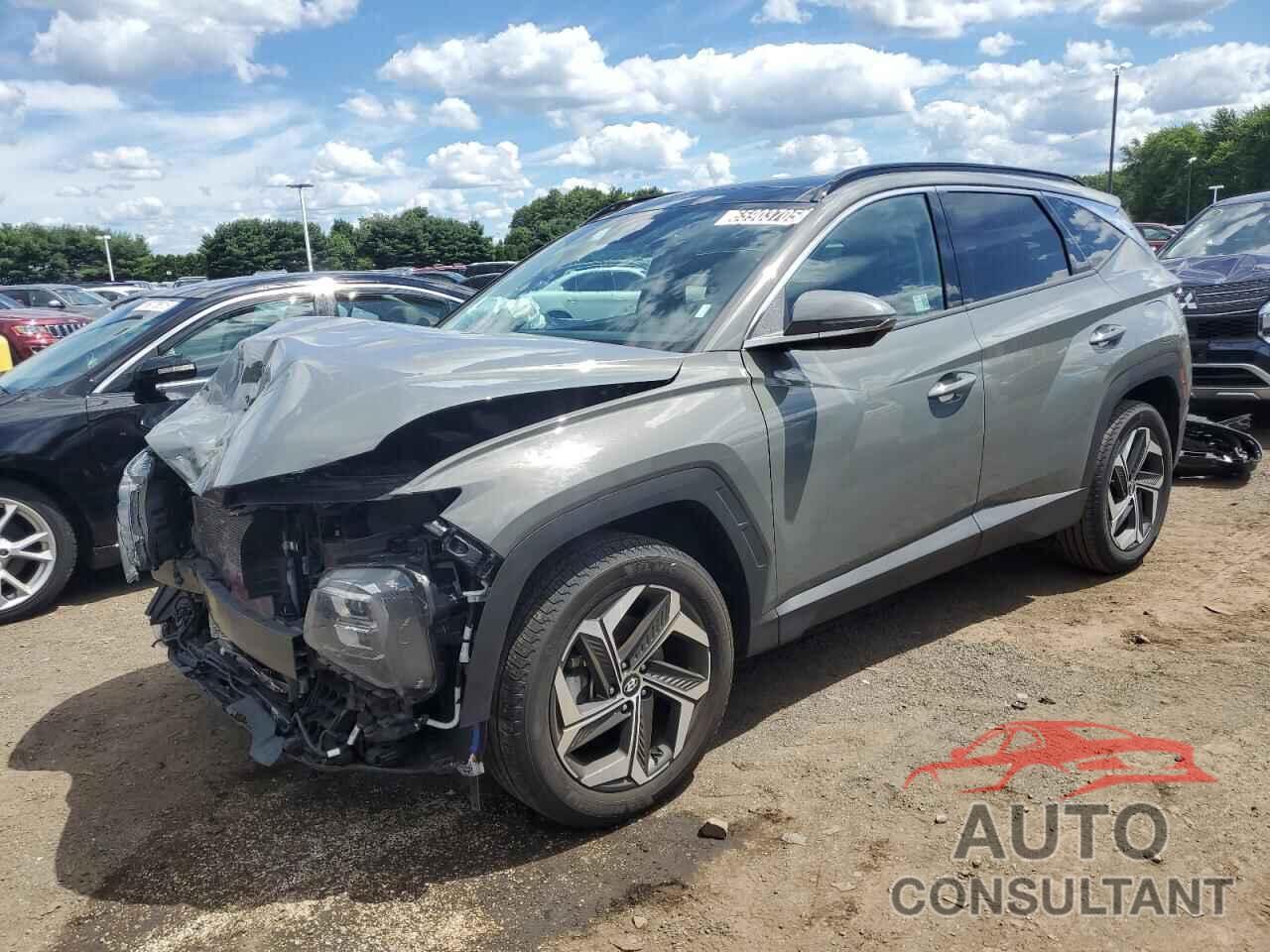 HYUNDAI TUCSON 2024 - 5NMJECDE2RH361286