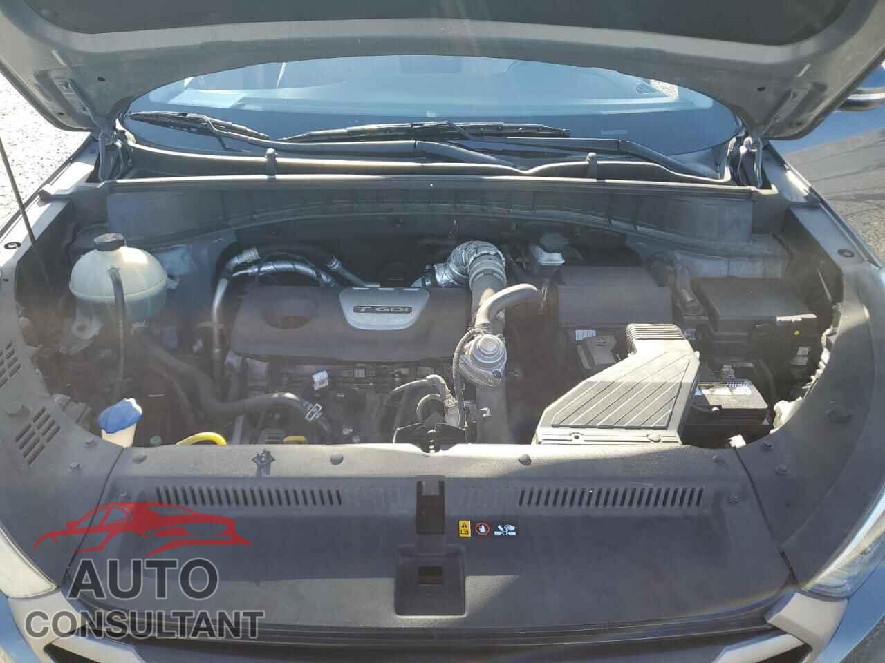 HYUNDAI TUCSON 2016 - KM8J33A21GU124855