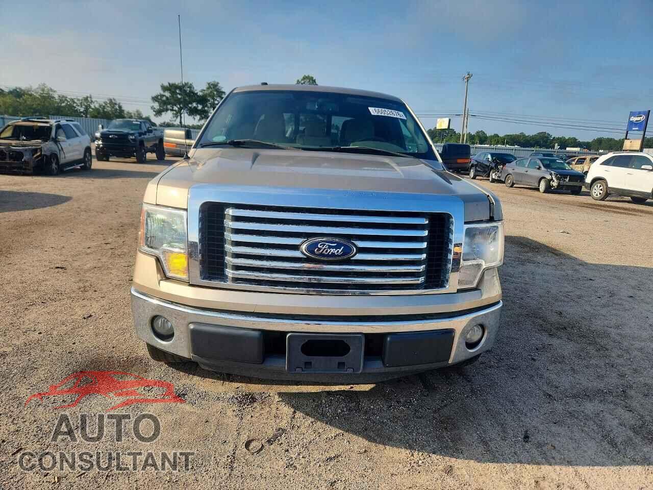 FORD F150 2011 - 1FTEW1CM9BFA91956