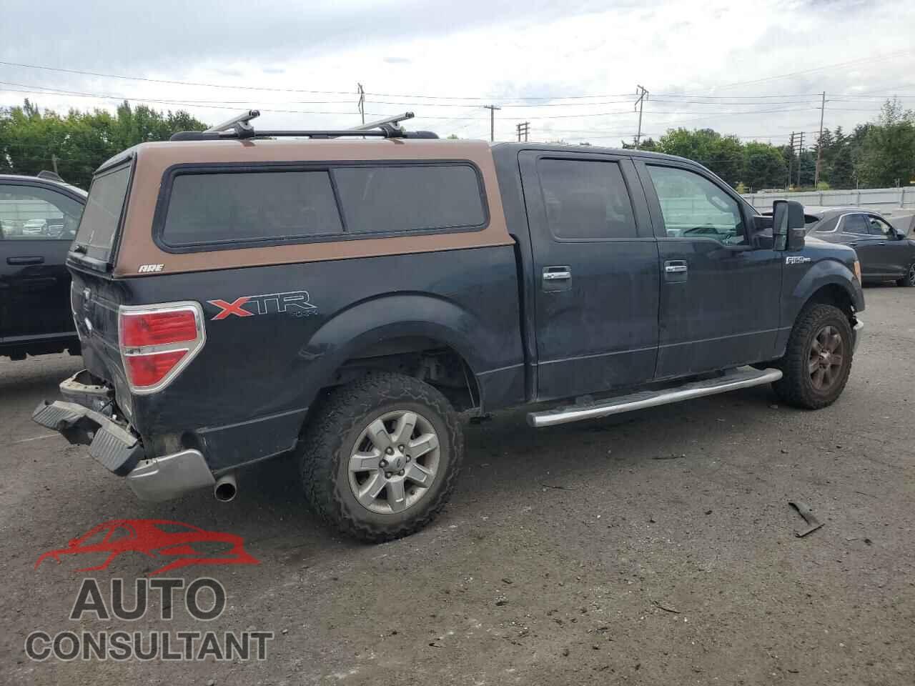 FORD F-150 2013 - 1FTFW1EF6DFD59450