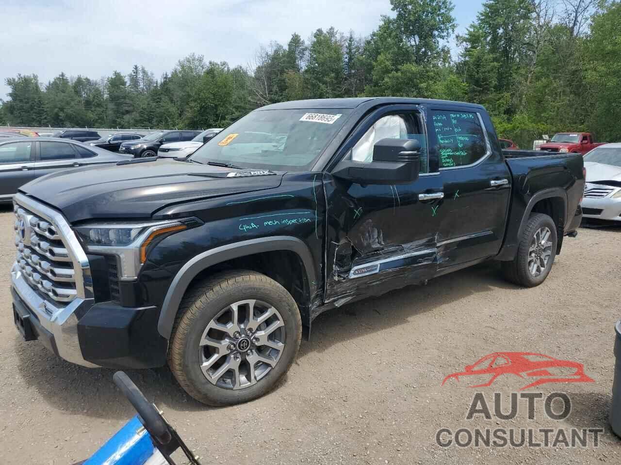 TOYOTA TUNDRA 2023 - 5TFMC5DB0PX021594