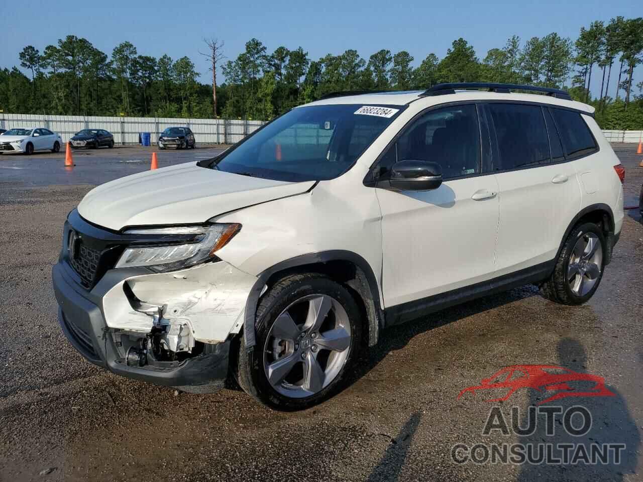 HONDA PASSPORT 2019 - 5FNYF7H90KB003708