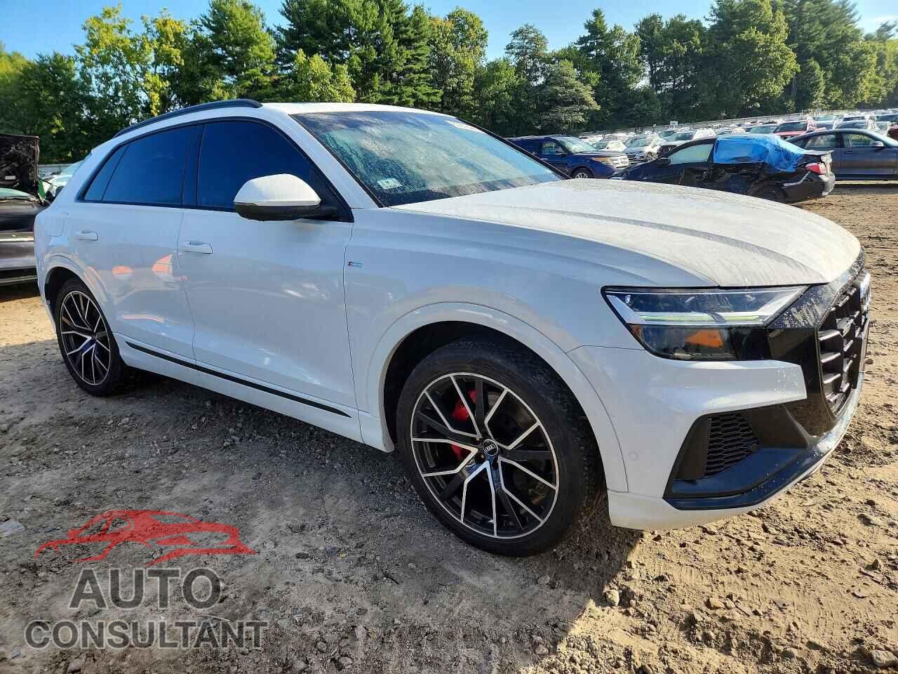 AUDI Q8 2019 - WA1EVAF13KD043444