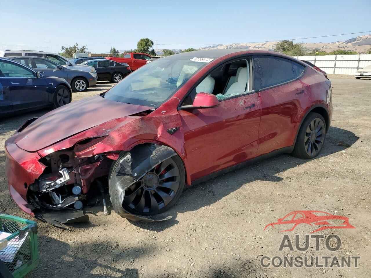 TESLA MODEL Y 2024 - 7SAYGDEFXRF123065