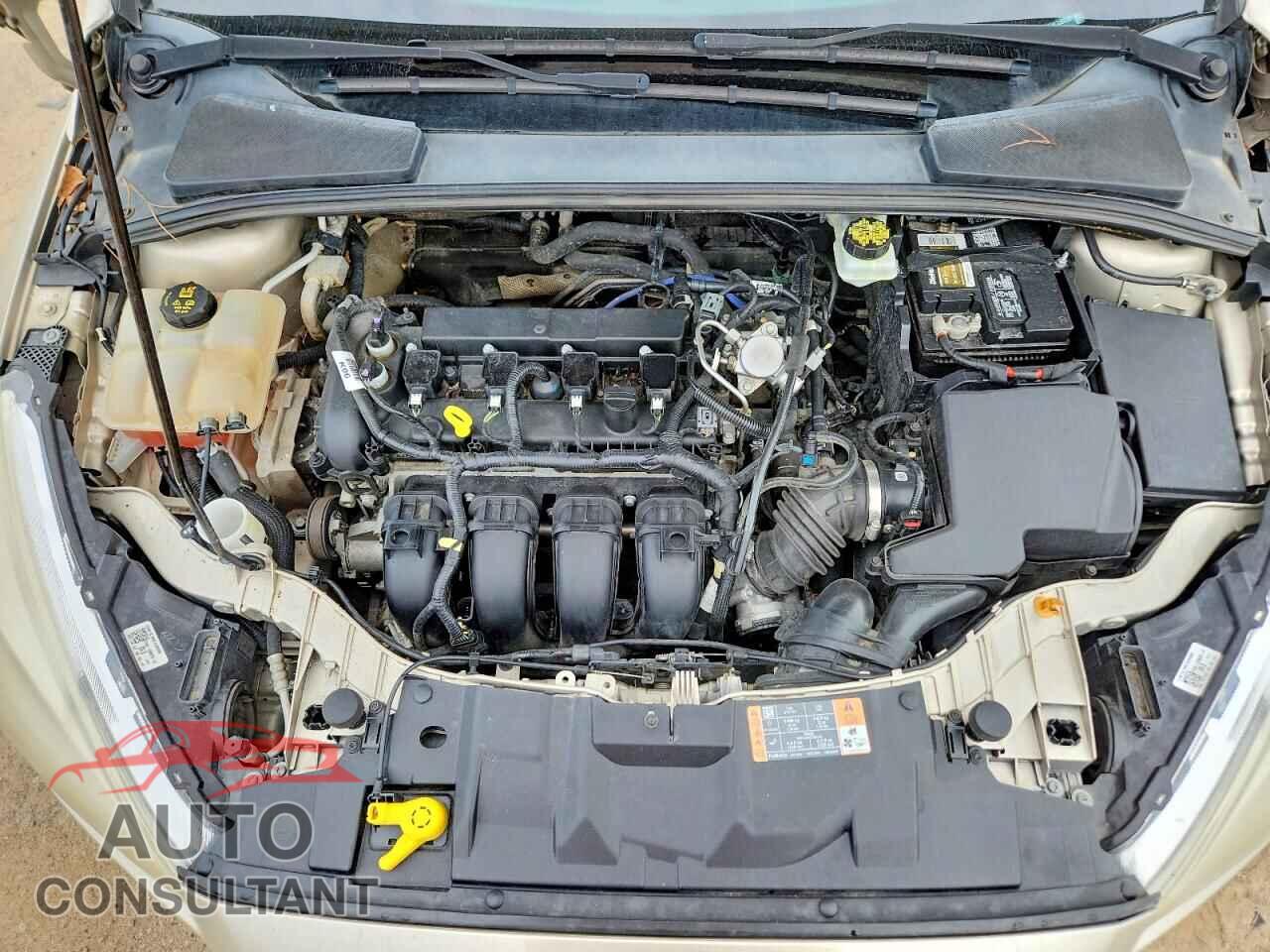 FORD FOCUS 2017 - 1FADP3N25HL330855