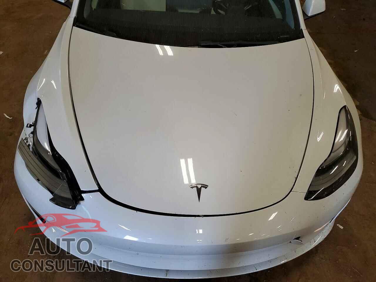 TESLA MODEL 3 2021 - 5YJ3E1EBXMF091994