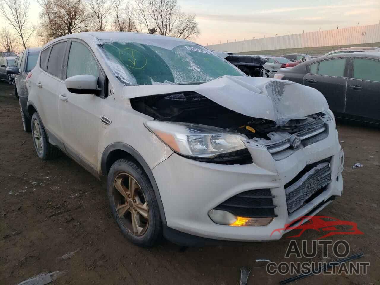 FORD ESCAPE 2016 - 1FMCU9GX0GUC89257