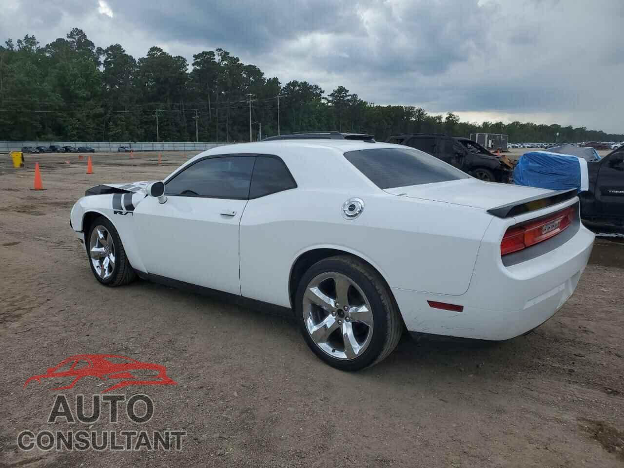 DODGE CHALLENGER 2013 - 2C3CDYBT2DH511366