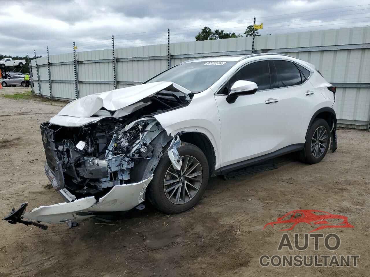 LEXUS NX 350 2023 - JTJGGCEZ8P5005024