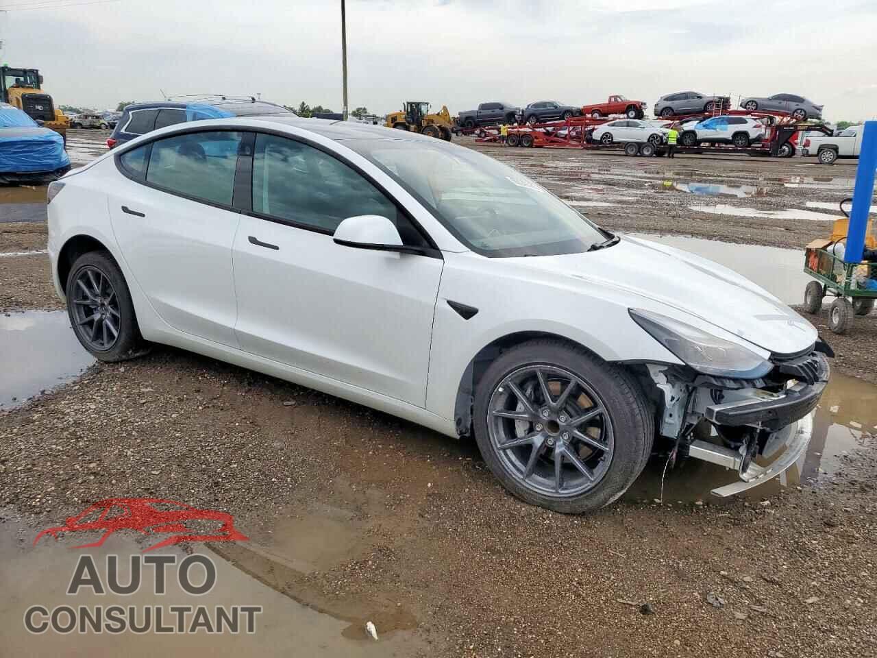 TESLA MODEL 3 2021 - 5YJ3E1EA0MF981802