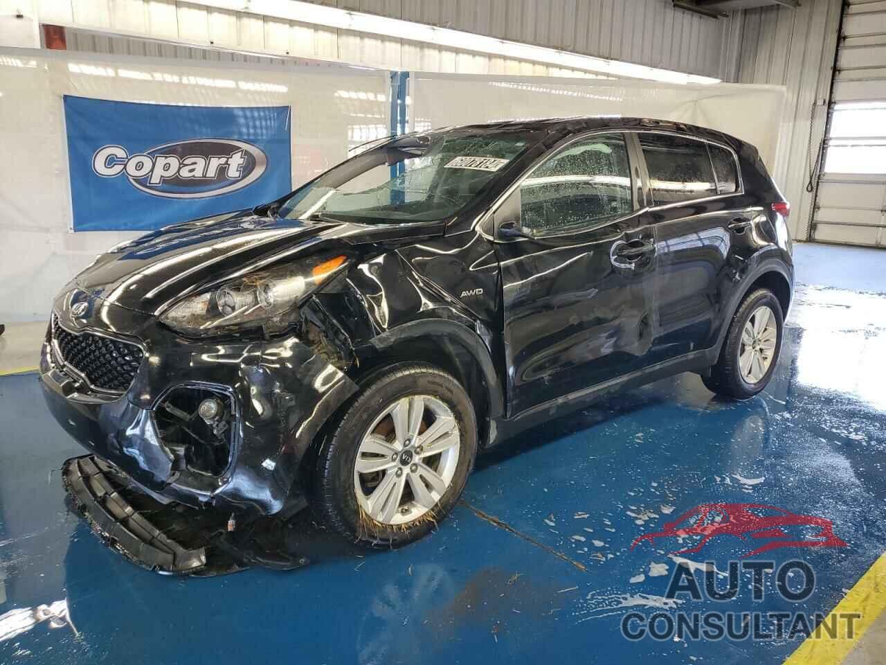 KIA SPORTAGE 2018 - KNDPMCAC9J7405697