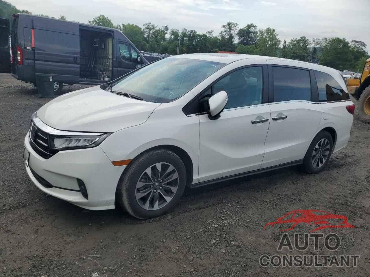 HONDA All Models 2024 - 5FNRL6H62RB022168