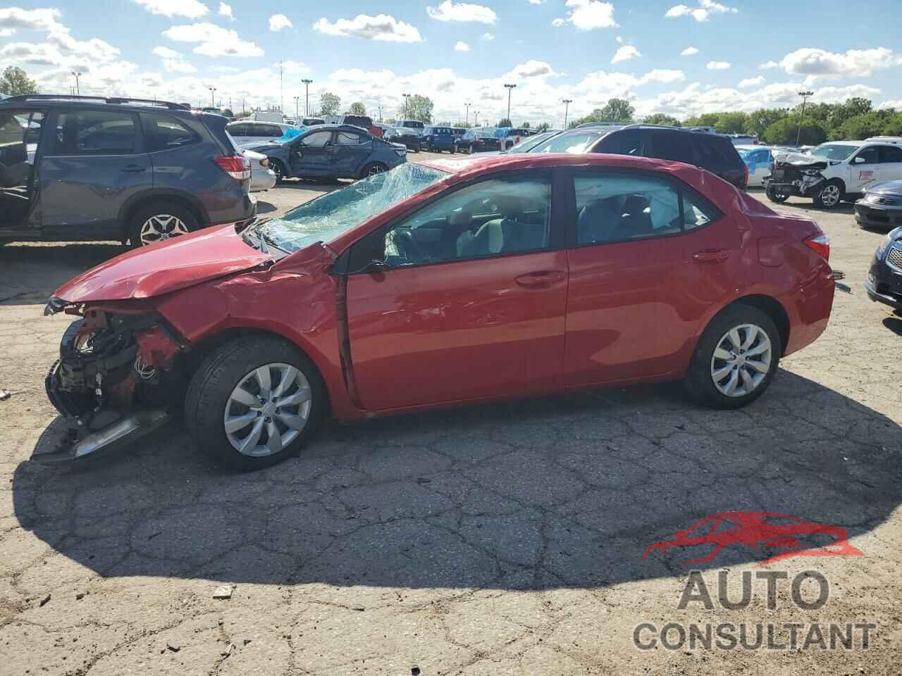 TOYOTA COROLLA 2016 - 2T1BURHEXGC667319