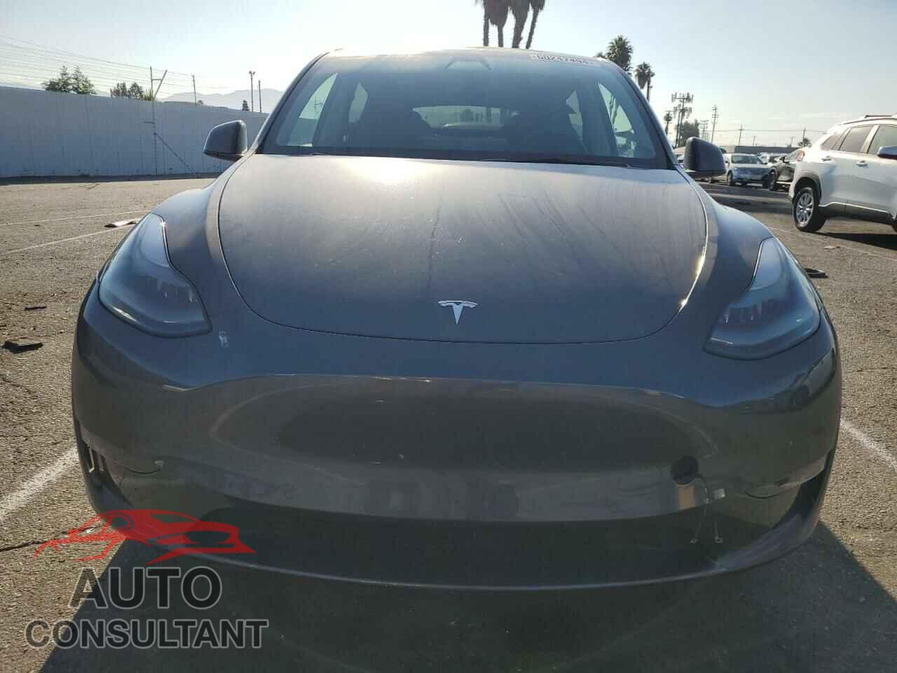 TESLA MODEL Y 2021 - 5YJYGDEF1MF211802