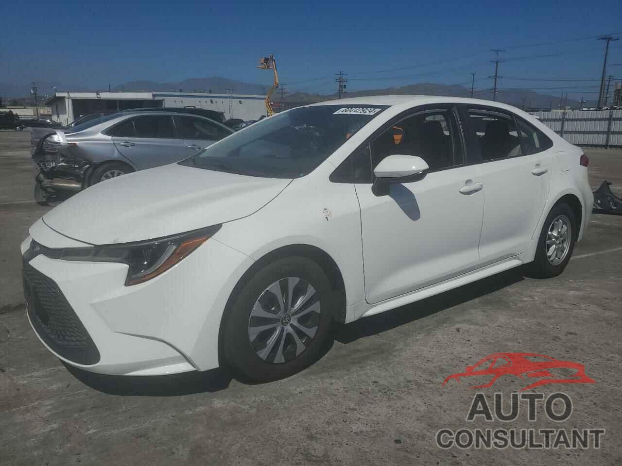 TOYOTA COROLLA 2022 - JTDEAMDE0NJ038555