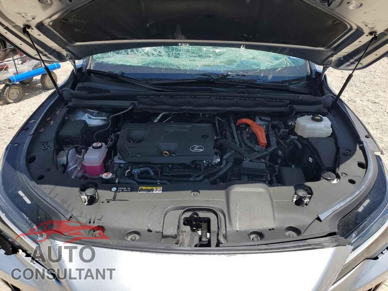 LEXUS UNKNOWN 2023 - 2T2BBMCA6PC020165