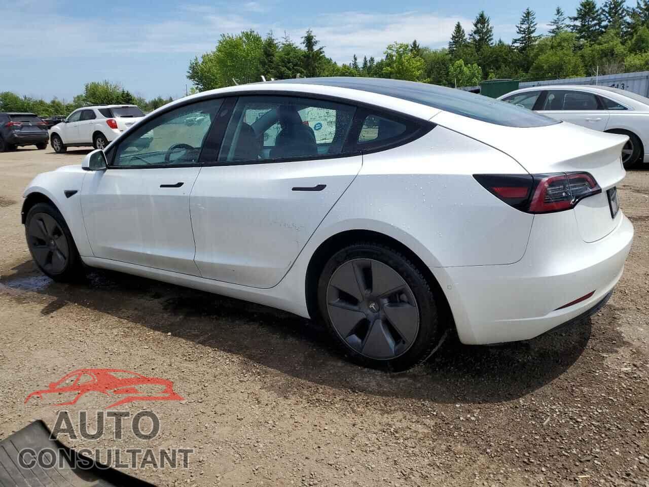 TESLA MODEL 3 2021 - 5YJ3E1EA5MF907677