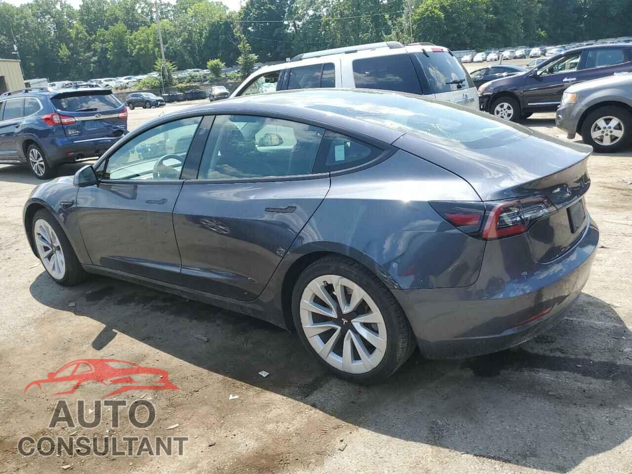 TESLA MODEL 3 2021 - 5YJ3E1EB3MF855605
