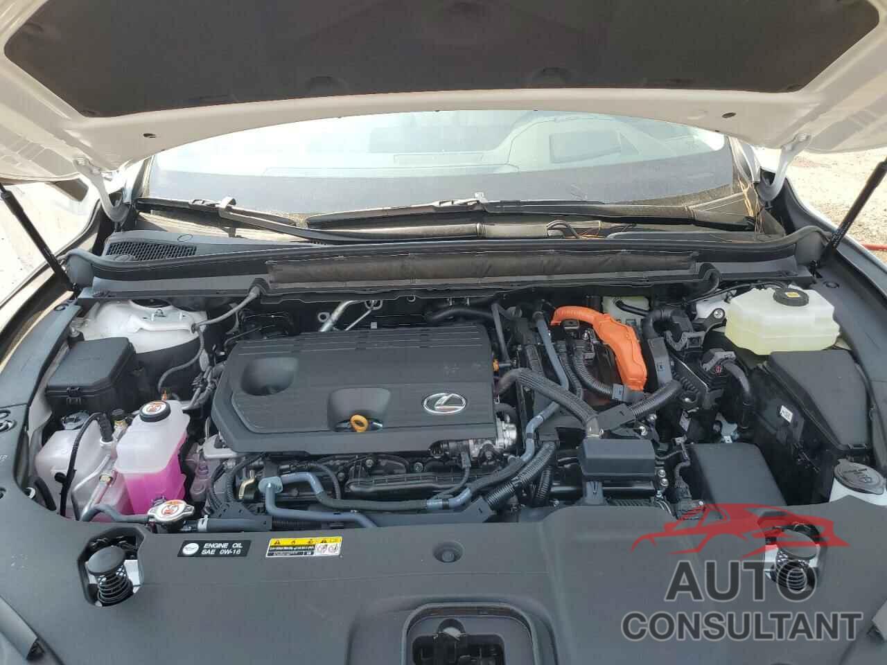 LEXUS RX 350H BA 2025 - 2T2BBMCA4SC087274