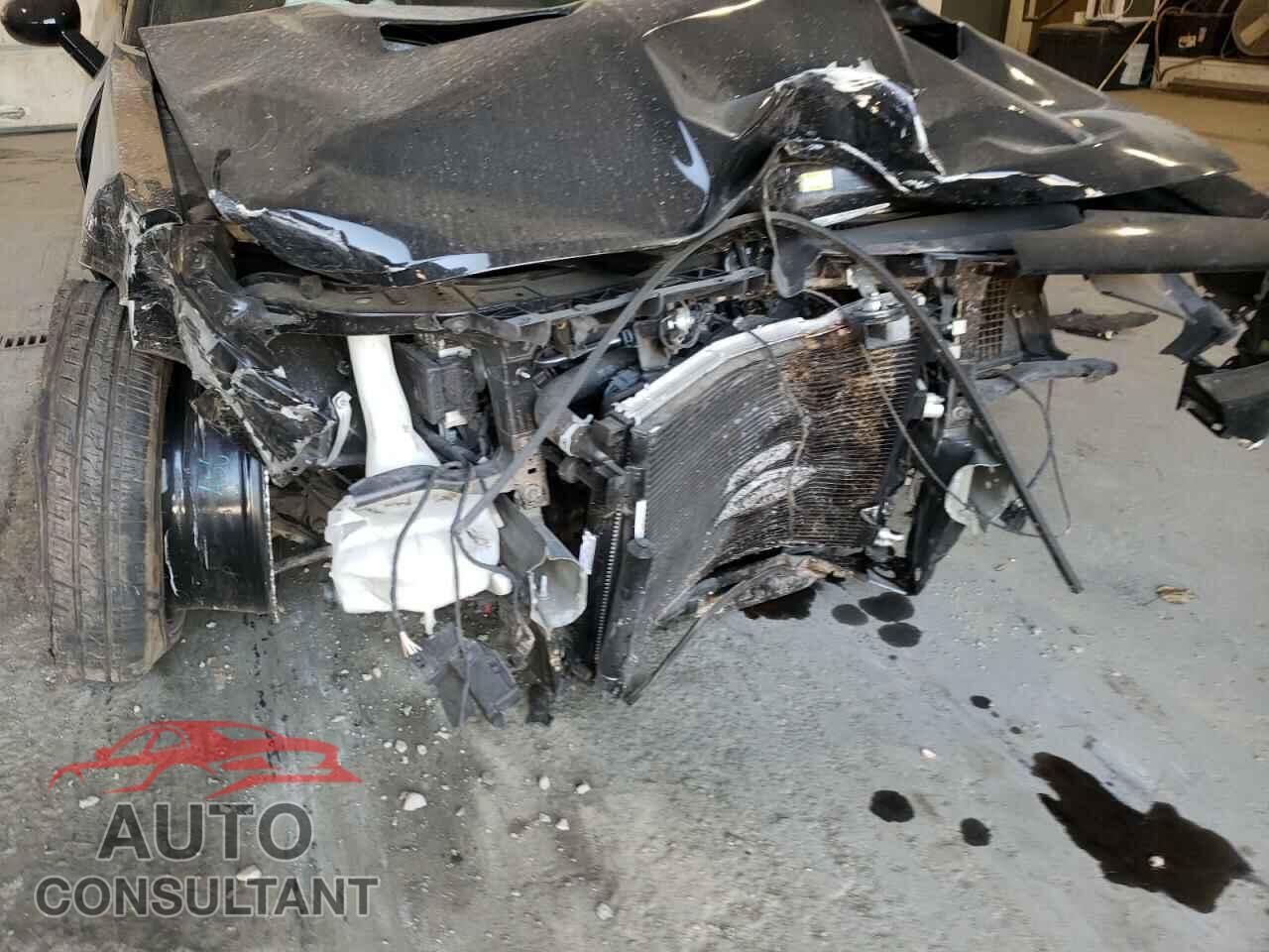 DODGE CHALLENGER 2019 - 2C3CDZAG5KH666579