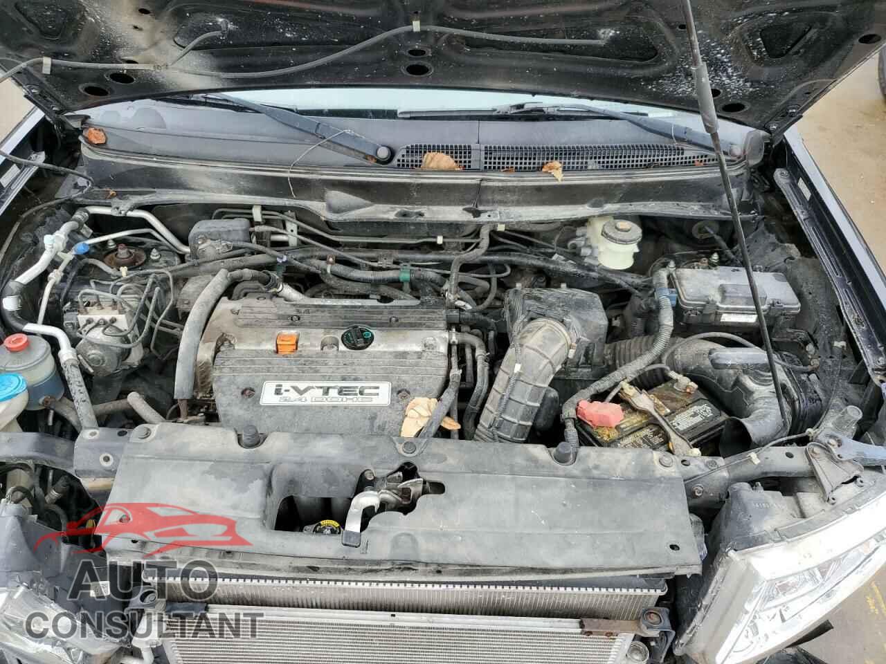 HONDA ELEMENT 2011 - 5J6YH2H79BL001460