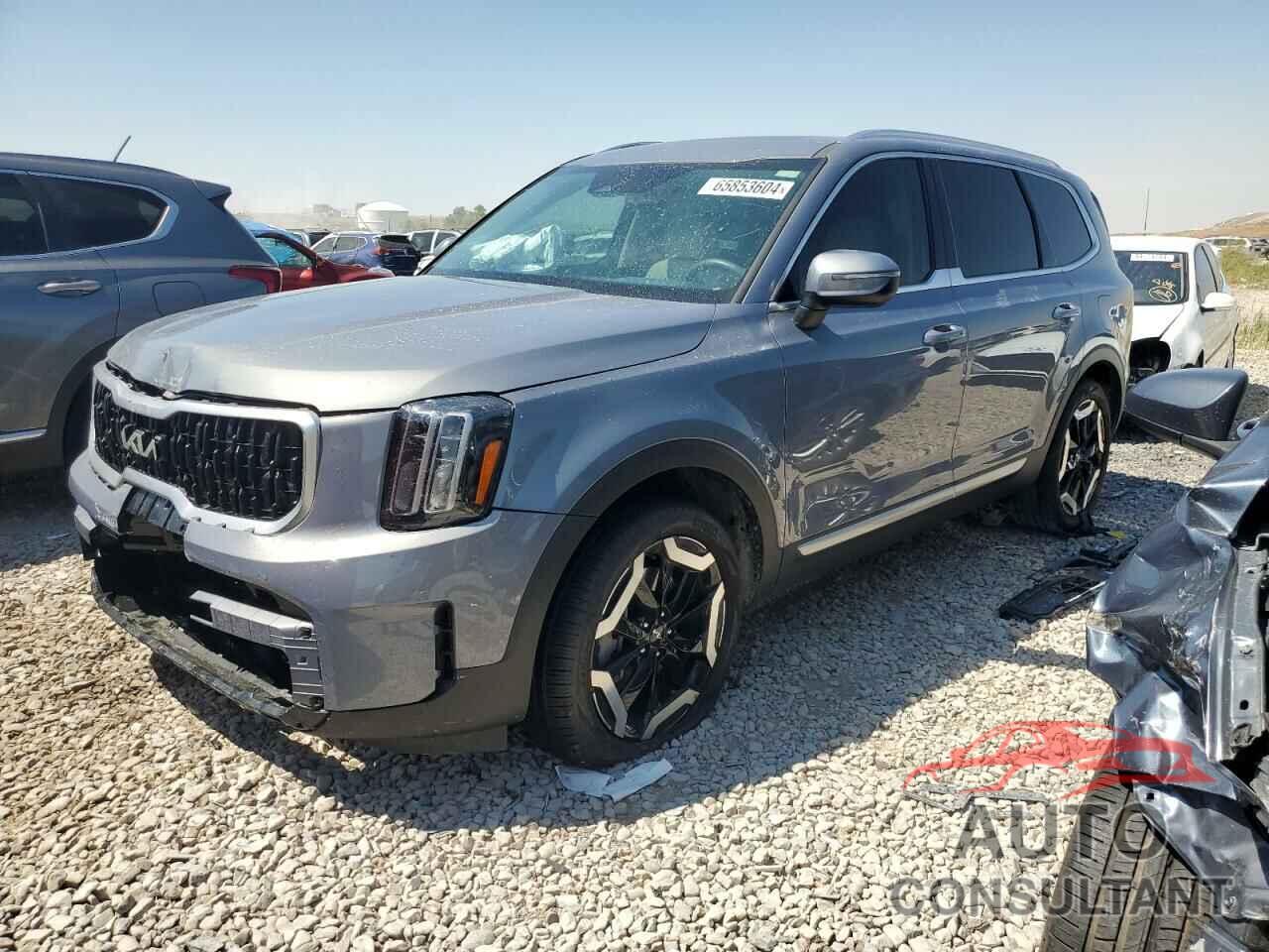 KIA TELLURIDE 2024 - 5XYP3DGCXRG486286