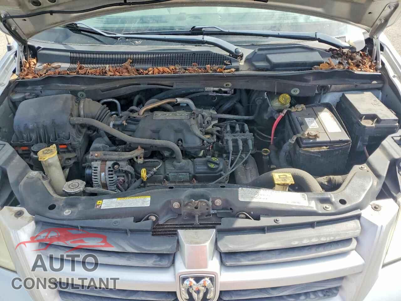 DODGE CARAVAN 2009 - 1D8HN44E99B520539