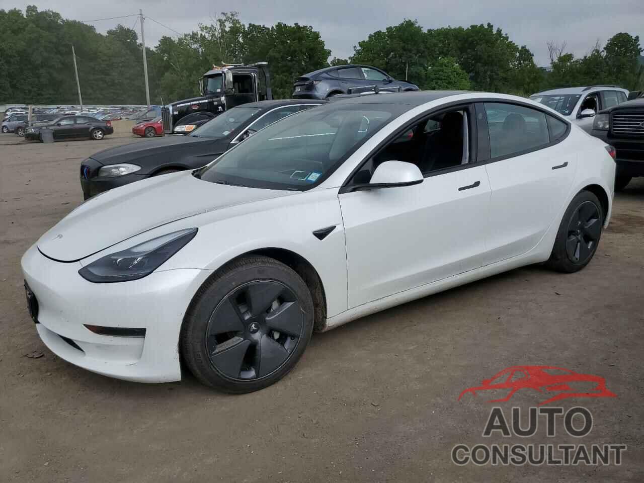 TESLA MODEL 3 2021 - 5YJ3E1EAXMF053267