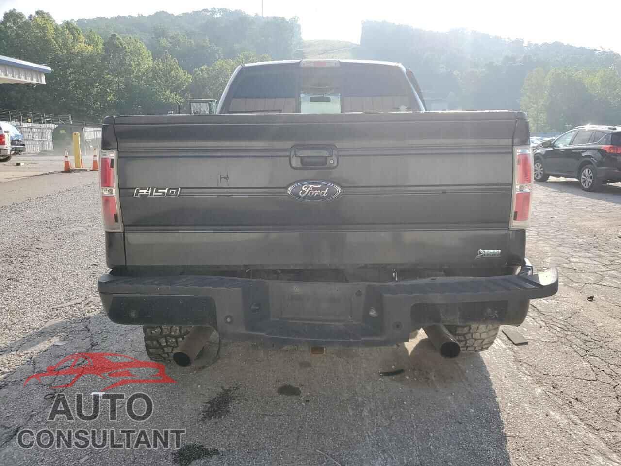 FORD F-150 2010 - 1FTFW1EV4AFD48238