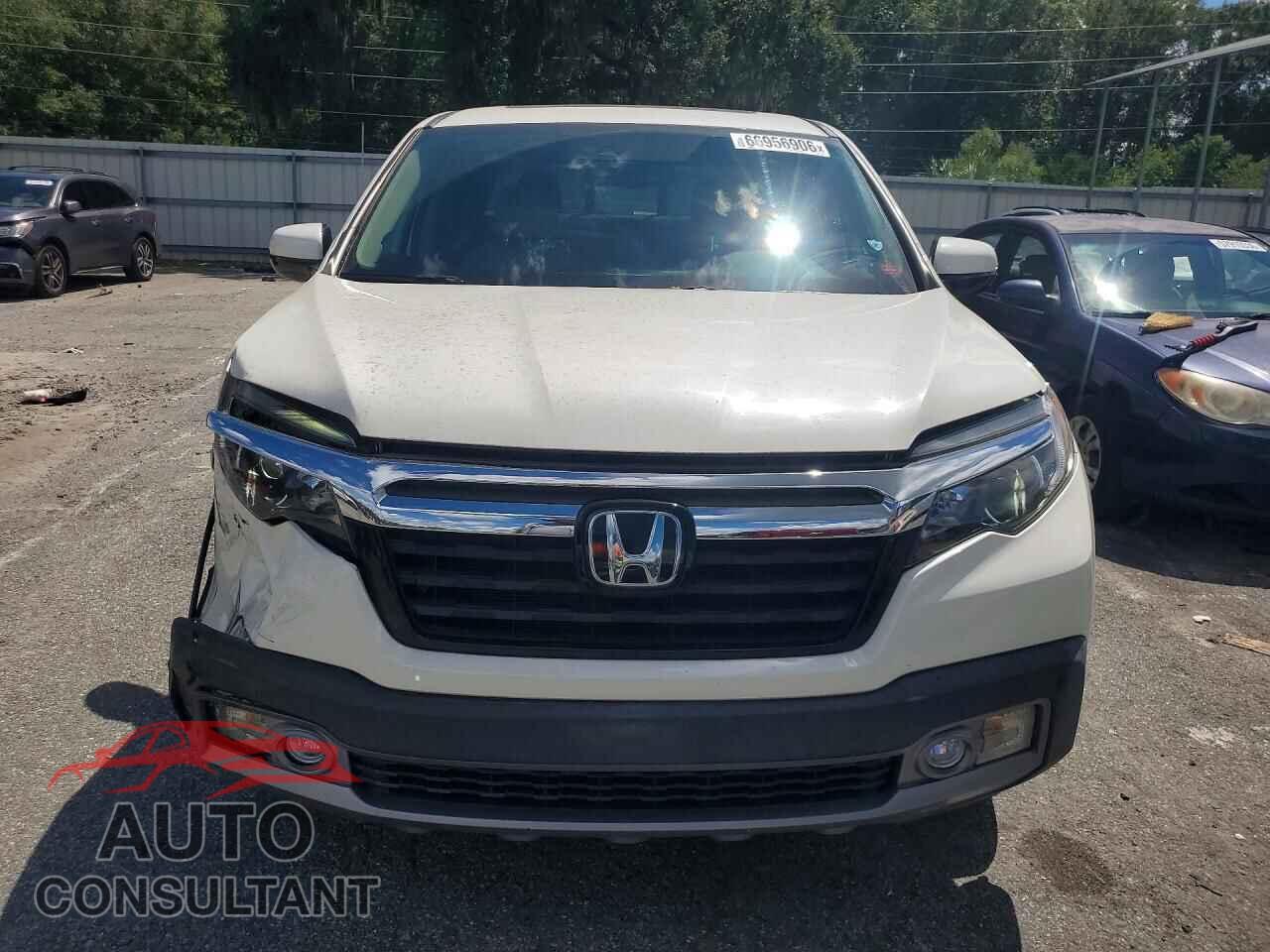 HONDA RIDGELINE 2019 - 5FPYK3F78KB005669