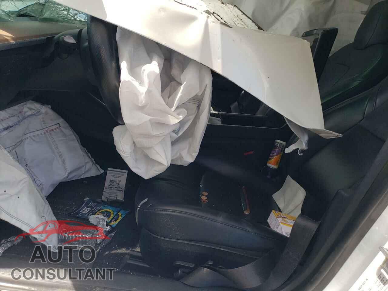 TESLA MODEL 3 2019 - 5YJ3E1EA1KF503952
